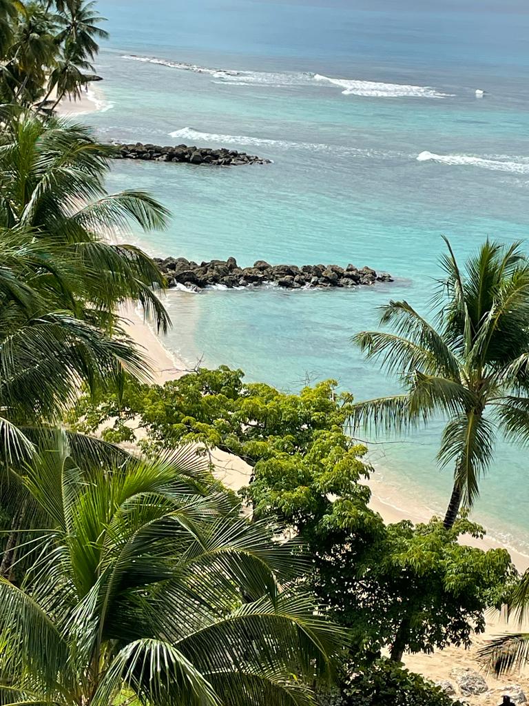 Barbados coast