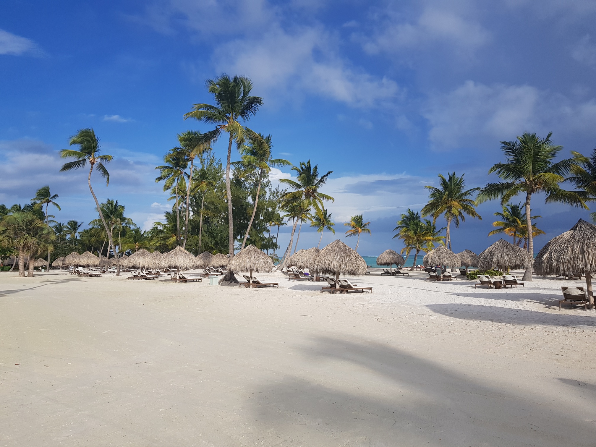 Hollie went to the Caribbean